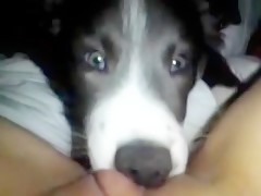 girl in the bedroom with dog