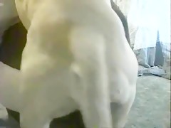 Thumb 10