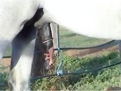 horny sexy blond wanna fuck the horse