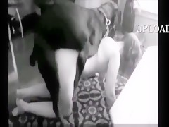 Animalporngirls - Animal Porn ] Girls play with dogs - Beast sex videos - Bestialitytaboo -  ZooSkool Videos - Bestiality sex