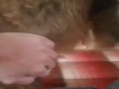 Thumb 12