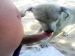 Most Relevant Bestiality dog sex Videos - lock the dog dick in woman ass -  ZooSkool Videos - Bestiality sex