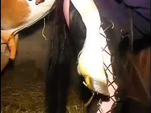 Friend watching horse fucking me