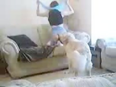 my sofa and my dog