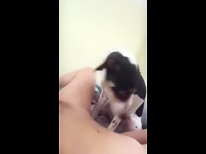 Self record sex with my dog 2