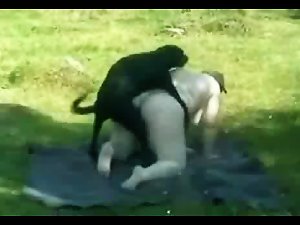 Zenya y su perro negro