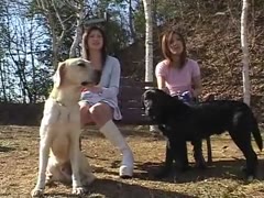 Cute asian girls suck and fuck 4 dogs at park and home