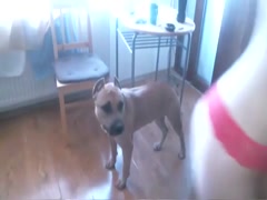 Selena - The Girls Say - Artofzoo