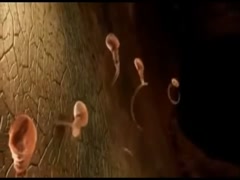 Thumb 20