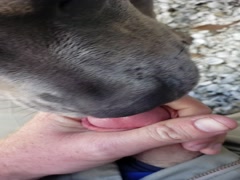 Thumb 10