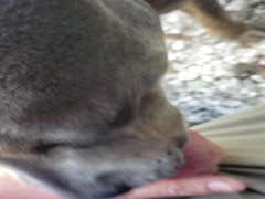 Thumb 11