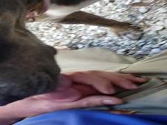 Thumb 12