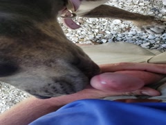 Thumb 14