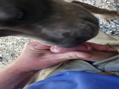 Thumb 15