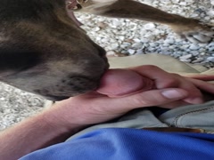 Thumb 16