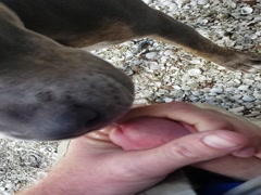 Thumb 8