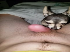 Licking Wifies Cum Off My Cock