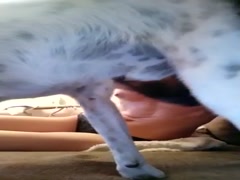 Thumb 11