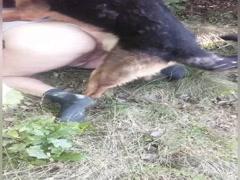 Fucked by dog
