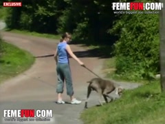 Nice girl takes her dog