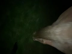 Thumb 12