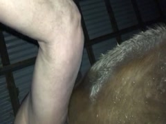 Pounding mare pussy