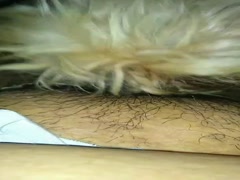 my wife and her puppy