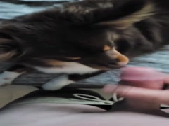 Thumb 12
