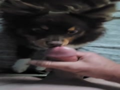 Thumb 15
