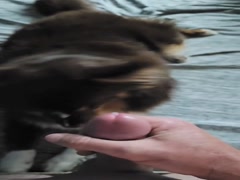 Thumb 16