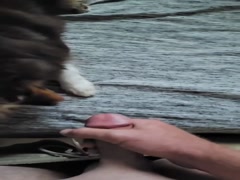 Thumb 17