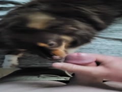 Thumb 6