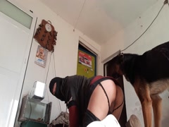 Mí perro me ama