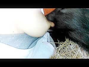 Top Rated Animal porn videos Videos - pig fucking bbw - ZooSkool Videos -  Bestiality sex