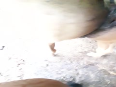 Thumb 12