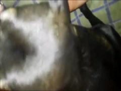Thumb 16