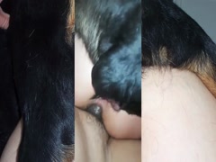 Mex compilation DP dog and husband 01