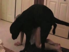 hotwife training mating with dog PT 1
