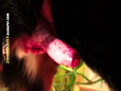 Thumb 11