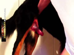 Thumb 13