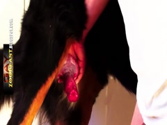 Thumb 14