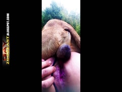 Thumb 16