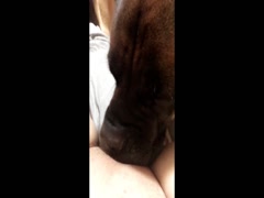 Compilation dog sucking girl's pussy PT 1
