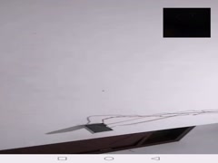 Thumb 11