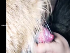 Thumb 11