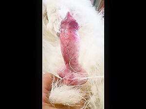 Dog cock