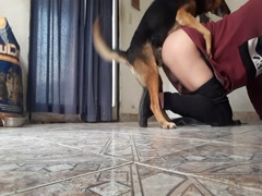 Mi perro me aammaa