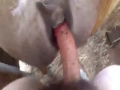 Young pervert fucks his mare wife
