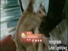 Thumb 11