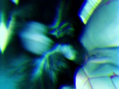 Thumb 13